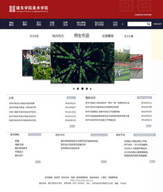 網(wǎng)站與網(wǎng)頁設(shè)計(jì) 構(gòu)建數(shù)字時代的視覺與功能橋梁